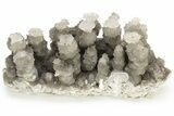 Cave Calcite Flower Stalactites - China #226190-1